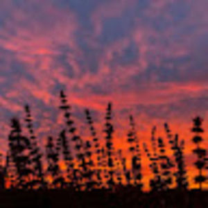 Meet your Posher, Nevaeh